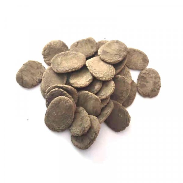 海参网箱专用饲料片状