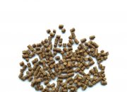 虾养殖方法和环境