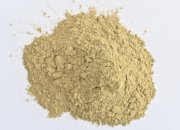 开春海参保苗育苗好时节    ——海参饲料裕丰当先