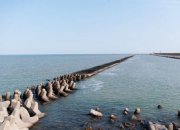 海参按照生产环境怎么分类?